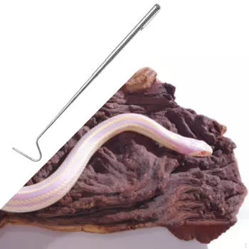 Инструмент для безопасного обращения со змеями, дизайн с большим радиусом действия белый