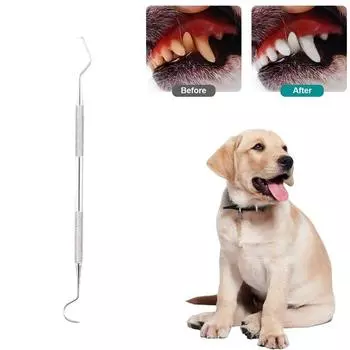 Инструмент для чистки зубов домашних животных из нержавеющей стали, используемый для удаления пятен и зубного камня. Набор для эндоскопического ухода за зубами собак и кошек