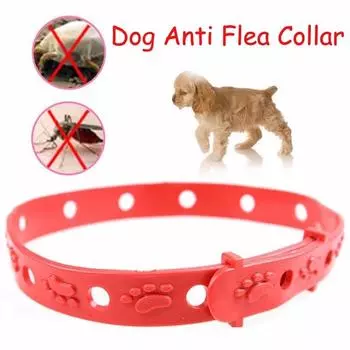 Ошейник от блох и клещей для домашних животных