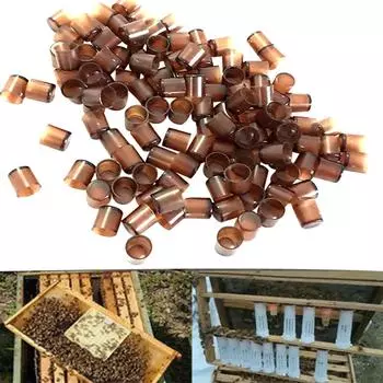 Инструменты для пчеловодства Коричневый комплект для пчеловодства, полная чашка для ячеек, 240 шт. 1X1CM коричневый