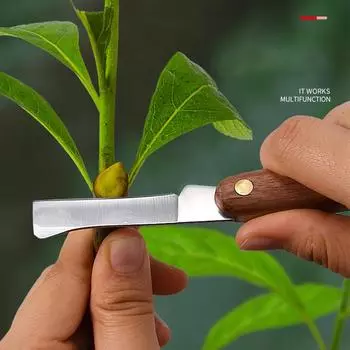 Инструменты для прививки Складной нож для прививки Профессиональный садовый нож для прививки Нержавеющая сталь с деревянной ручкой Нож-инструмент 1pc
