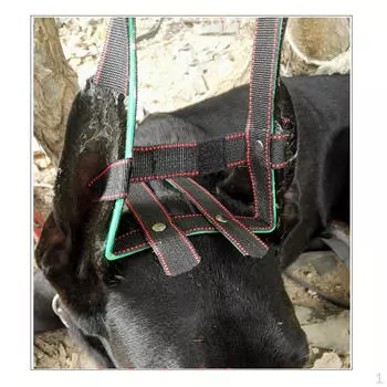 Инструменты для ухода – нежная поддержка для всех пород и размеров S