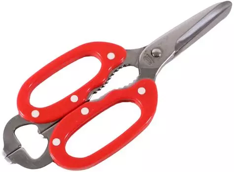 Intec Kaneki Cooking Blade Stainless ABS BLY1601 Scissors, Chef s, Red, Material Steel, Handle Resin, Japan,