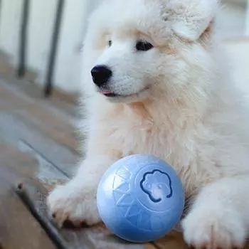 Интерактивная игрушка-мяч для кошек, перезаряжаемая через USB, вращающаяся на 360 градусов, умная игрушка-мяч, забавная игрушка для кошек, которая гоняется за котятами синий