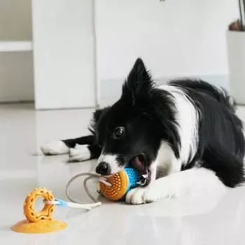 Интерактивная игрушка в форме сосновых шишек для собак, жевательная игрушка для щенков, устойчивая к укусам, Self Happy синий/жёлтый