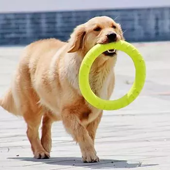Интерактивная обучающая игрушка Pet Ring Puller для средних и крупных собак Greyhound Pitbull Safety EVA Big Dog Toy Mascotas Accessories S-Diameter 19cm зелёный