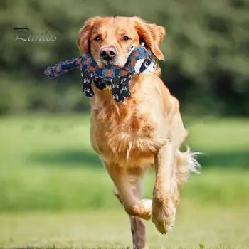 Интерактивная плюшевая игрушка для собак Неразрушимая жесткая игрушка для жевания для агрессивных любителей жевать Писклявые мягкие игрушки для собак для больших средних маленьких собак чёрный