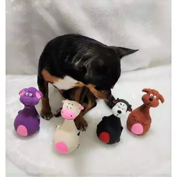 Интерактивные игрушки для домашних животных Игрушка для собак Милая мультяшная игрушка для моляров для собак Игрушки-пищалки для домашних животных Мягкая резиновая жевательная игрушка для маленьких и средних собак