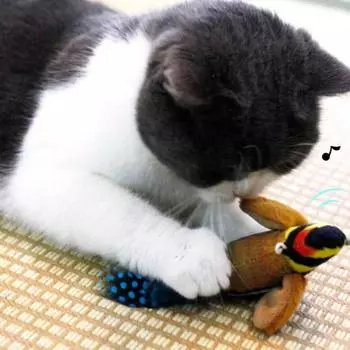 Интерактивные игрушки для кошек, подвесная плюшевая птица, писклявая звуковая имитация птицы, игрушка-дразнилка, игривое развлечение, связь с вашим домашним котенком, щебечущая игрушка для кошек