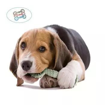 Интерактивные игрушки для собак TPR Pet Toy Pull Ring Dog Molar Toy Dog Chew Toy Игрушка для жевания щенка Molar Stick Toy зелёный