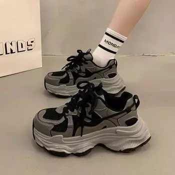 Internet celebrity dirty dad shoes women ins tide 2024 autumn new Hong Kong style street shot thick-soled versatile sports and leisure shoes 35