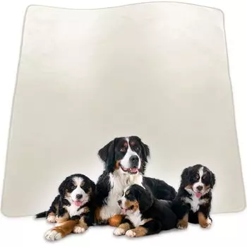 INULABO Washable Pet Extra Large Pee Floor Pet Fully Washable your dog play with x 182 cm Sheet, Mat, Waterproof, Protection, Mat, [Let it] (182 (1 белый