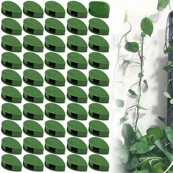 Invisible Plant Climbing Wall Fixture Rattan Vine Bracket Fixed Buckle Leaf Clips Traction Holder Garden Plant Support 30PCS
