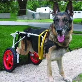 Инвалидная коляска для домашних животных большого размера, прогулочная коляска для собак, инвалидная коляска для собак, реабилитационная тренировочная машина для домашних животных L