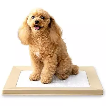 IRIS OHYAMA Dog Toilet Square Dog Tray Just Pinch Magnet Regular Light Gray Washable светло-серый