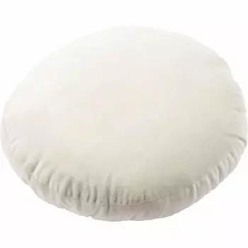 Iris Plaza Cushion Round Compact Elasticity Chewy Fluffy Smooth Velor 40 x 40cm Pillow Body Pillow Floor Cushion Home Time Telework Light Gray