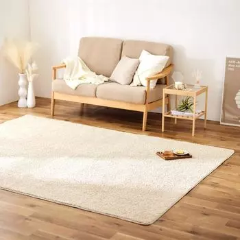 Iris Plaza Tuft Rug Rug Mat Carpet 185 x 240 Rectangular Carpet Living Room Bedroom Hand Washable Fluffy Antibacterial Fluffy and Gentle All Seasons 1
