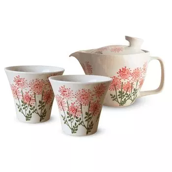 Isaozan Kiln Teapot Tea Cup Pair Set Hasami Ware Made in Japan 240ml 130ml For 1 2 People Comes with Tea Strainer Wildflower Red J-kitchens ~