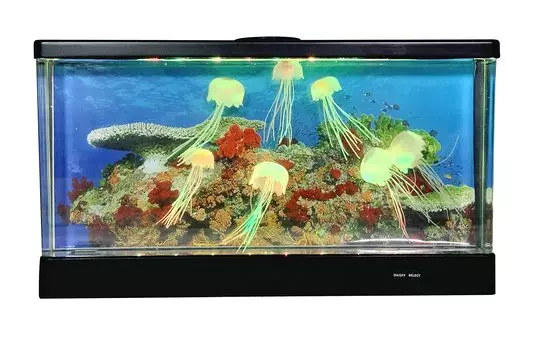 Ishiguro Aquarium Jellyfish Wide W450 x H245 x D70mm Black
