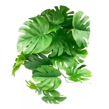 Искусственное растение East Leaf Клетка для рептилий Аквариум Виварий Террариум для амфибий, черепах, лягушек, ящериц с присоской Monstera