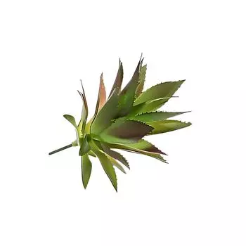 Искусственное растение из АБС-пластика, нетоксичное и экологически чистое, безопасное для окружающей среды, искусственные суккуленты