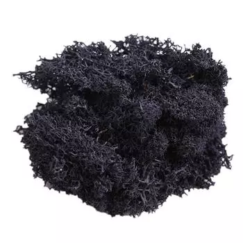 Искусственное растение консервированный цветок олений мох DIY Craft Garden Home Decor чёрный