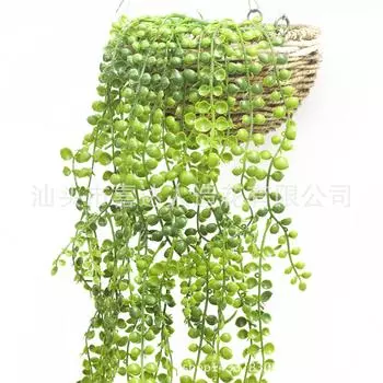 Искусственное растение, настенное крепление из ротанга, сороконожка, ротанг, слезы любовника, аксессуары, украшение окна, водные растения зелёный