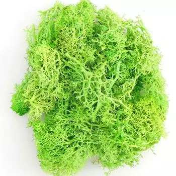 Искусственное растение, вечная жизнь, мох, искусственный цветок, мох, трава, домашняя гостиная, декоративная стена, аксессуары для растений «сделай сам» красный