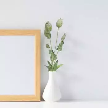 Искусственное растение Yousheng, яркие, не увядающие, яркие цвета, мак, орехи, искусственные цветы, товары для вечеринки, декор