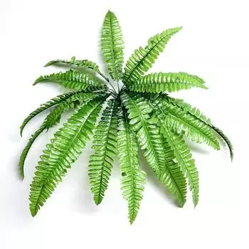 Искусственное зеленое растение 18 головок персидский папоротник лист растение настенное украшение своими руками водное растение аксессуары 18 head Bose (55cm)