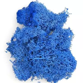 Искусственные цветы Мини-ландшафт Гостиная Мох Искусственные растения Вечный мох Садовое украшение