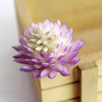 Искусственные поддельные пластиковые миниатюрные суккуленты, растения, художественный сад, домашний декор зелёный