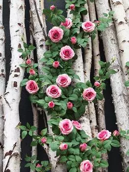 Искусственные подвесные растения, подвесные цветы, 1,5 м, искусственная роза, подвесные растения, искусственные цветы для дома, комнаты, сада, свадьбы, внутреннего и наружного декора белый