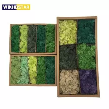 Искусственные растения своими руками, консервированный мох, имитация поддельных растений, декор для сада, ландшафтный декор стен, украшения для дома, аксессуары, подарки 50g трава зеленый