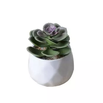 Искусственные суккулентные растения, имитация цветка бонсай с горшком, ландшафтный дизайн для украшения стола для вечеринки дома