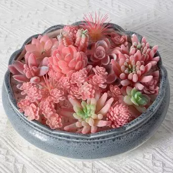 Искусственные суккулентные растения Поддельные суккулентные кашпо DIY Домашнее украшение