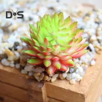 Искусственные суккуленты, реалистичные, изысканные, из ПВХ, простые в уходе, искусственные эхеверии