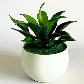 Искусственные суккуленты Вечеринки Пластик Рестораны Магазины