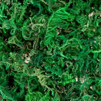 Искусственный мох 10 унций Мох для рукоделия Искусственный мох Цветочный коричневый