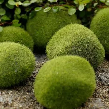 Искусственный мох, имитация украшения, искусственный газонный мох, искусственный камень, флокирующийся камень, аксессуары, микропейзаж, сделай сам 3cm зелёный