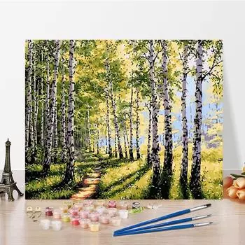 Искусство DIY Картина по номерам Алмазная картина Картина по номерам Цифровая картина маслом Домашний декор Хобби Картина маслом 40x50cm no frame