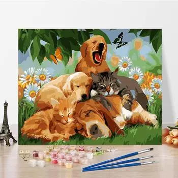 Искусство DIY Картина по номерам Алмазная картина Домашний декор Цифровая картина маслом Картина маслом Хобби Живопись по номерам 40x50cm no frame