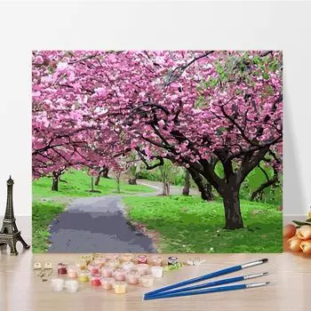 Искусство DIY Картина по номерам Алмазная живопись Хобби Цифровая картина маслом Картина маслом по номерам Картина Домашний декор 40x50cm no frame