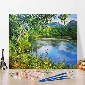 Искусство DIY Картина по номерам Цифровая картина маслом Картина по номерам Алмазная живопись Хобби Картина маслом Домашний декор 40x50cm no frame