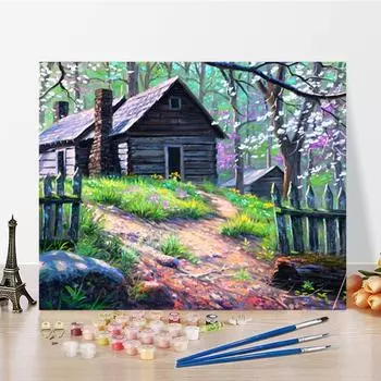 Искусство DIY Картина по номерам Цифровая картина маслом Домашний декор Картина по номерам Алмазная картина Картина маслом Хобби 40x50cm no frame