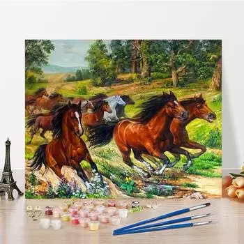 Искусство DIY Картина по номерам Цифровая живопись маслом Хобби Алмазная картина по номерам Картина маслом Домашний декор 40x50cm no frame