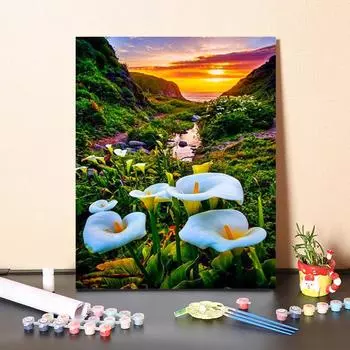 Искусство DIY Картина по номерам Хобби Алмазная живопись Цифровая картина маслом Картина маслом по номерам Картина Домашний декор 40x50cm no frame