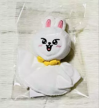 [ИСПОЛЬЗОВАННЫЙ] Сумка Stray Kids dominATE Charm Leavitt Reno