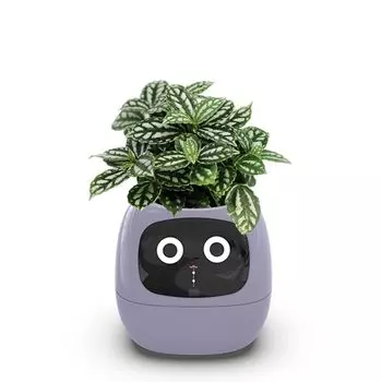 Ivy Smart Smart Care Smart LED, оснащенный умным домашним декоративным растением, мини-цветком для интерьера комнаты, маленький, милый и стильный, японский, руководство по эксплуатации