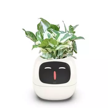 Ivy Smart Smart Care Smart LED, оснащенный умным домашним декоративным растением, мини-цветком для интерьера комнаты, маленький, милый и стильный, японский, руководство по эксплуатации
